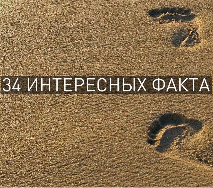 А знаете ли вы…?
